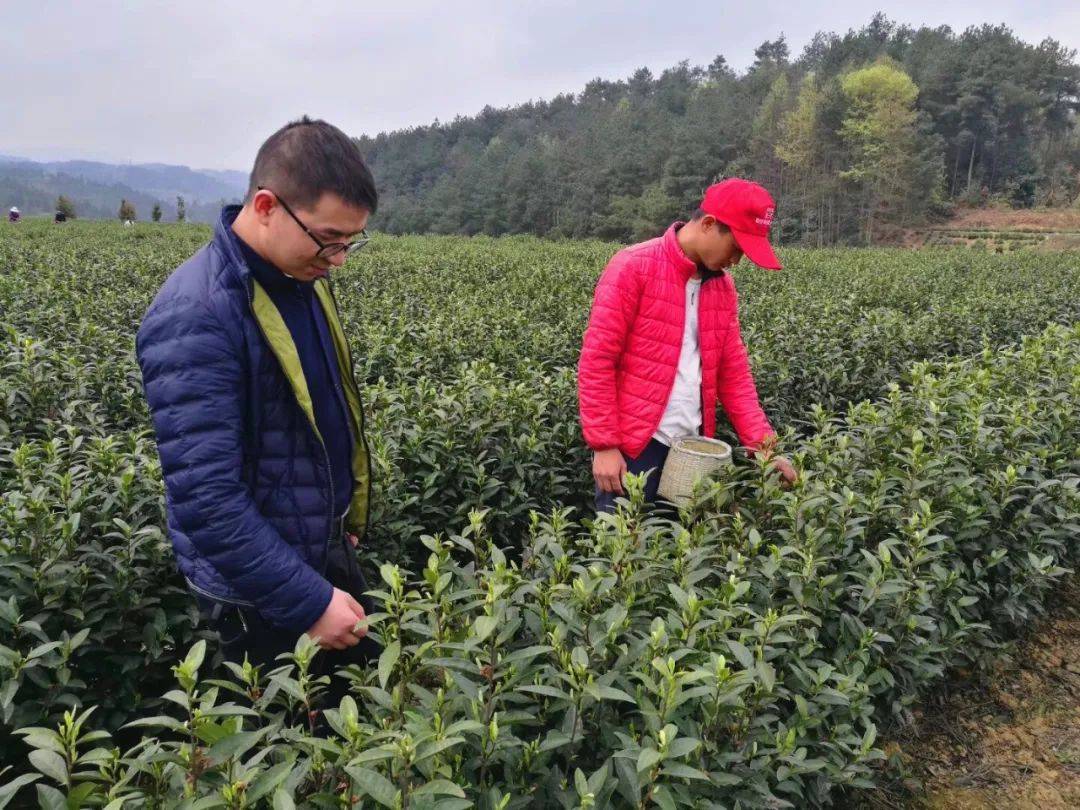 我的扶贫故事 花山苗族乡回龙村驻村第一书记吕正鑫