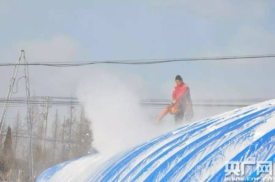 这几款大棚除雪"神器",刷爆了朋友圈!