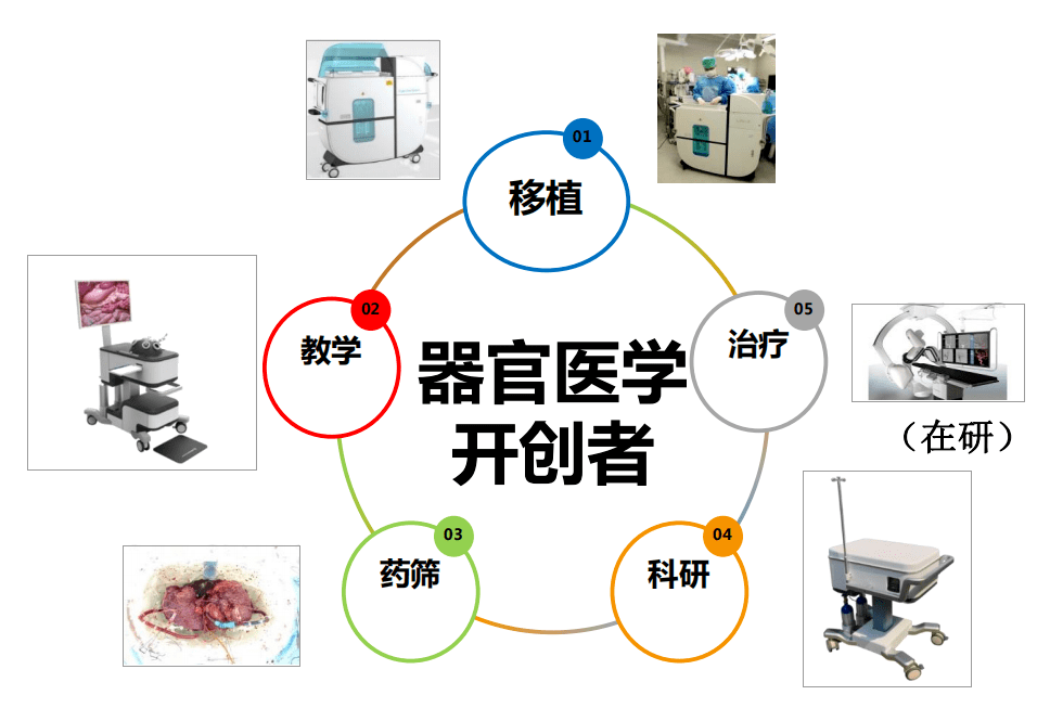 器官移植是什么原理_器官移植图片