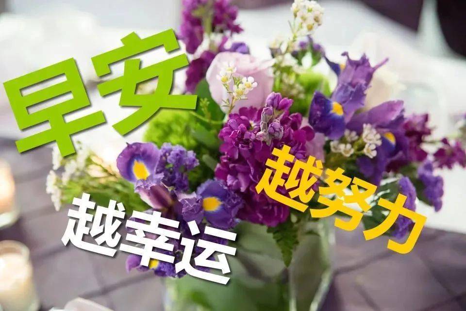 中老年半岛体育专用表情包最新祝你生活惬意快乐无忧！(图8)