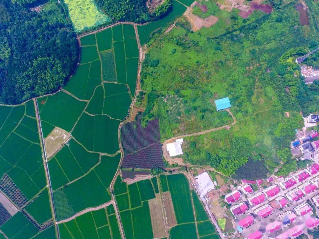 龙游县湖镇镇经济总量多少_龙游县芦坑村