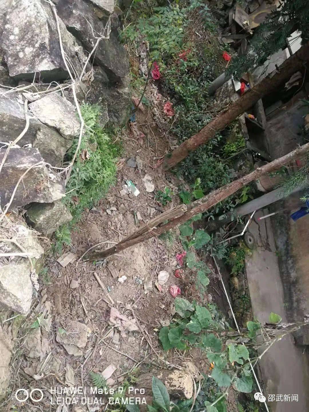 卫闽镇人口_闽宁镇(3)