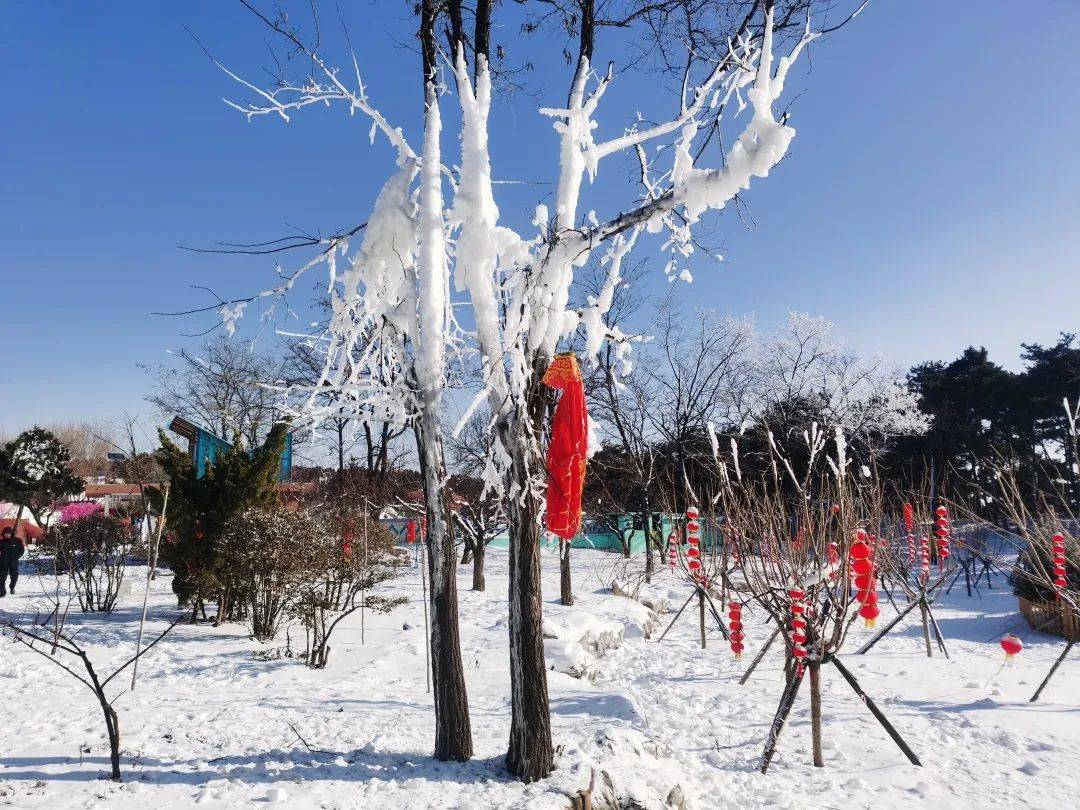 首先来领略一下跑马岭 齐鲁雪乡的雪景