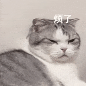 【猫猫表情包】沙雕猫动图表情包