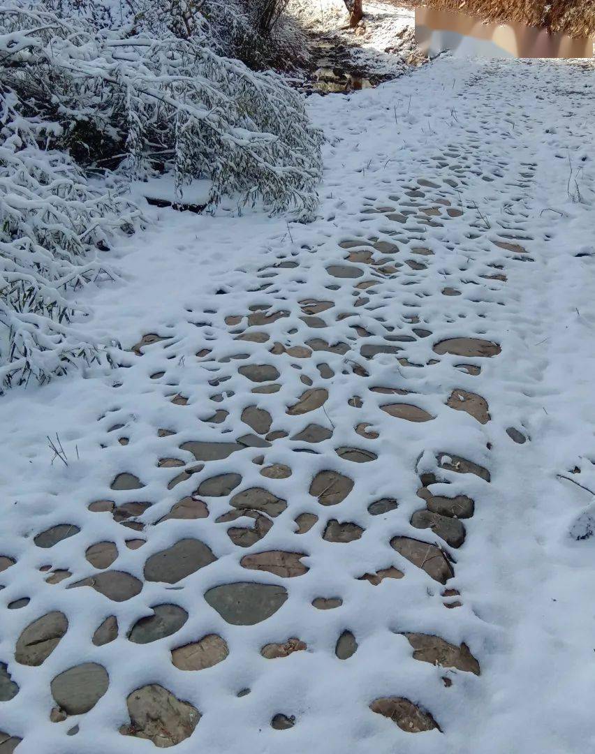 免费爬的雪山活动 fc0d1ea7fbab4d028e016af73b11e61d.jpeg