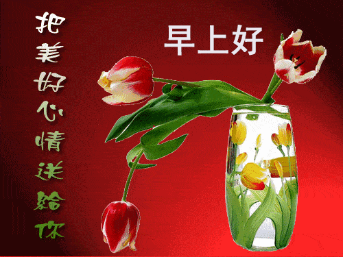 17d569b0ae9b4a67b6a58dfde009afbd.gif