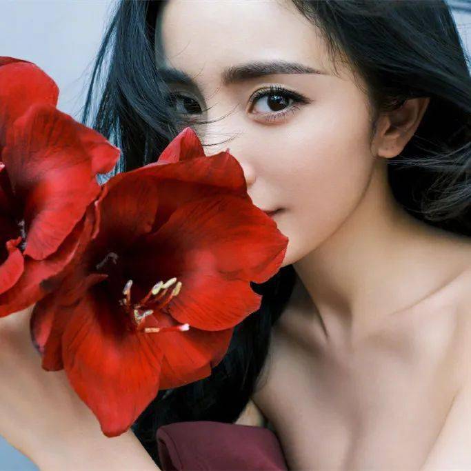 微信头像杨紫杨颖热巴关晓彤杨幂