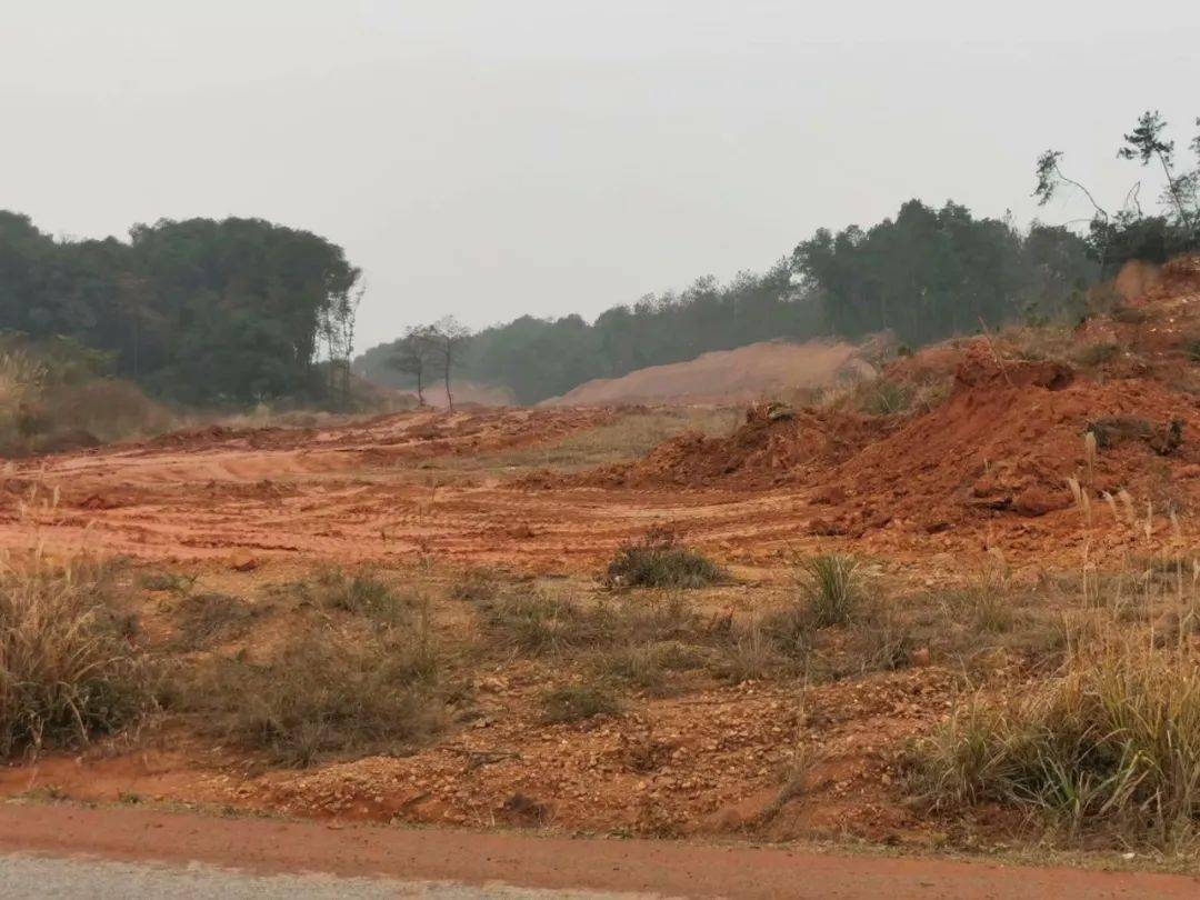 奉新干洲gdp_赤田公路上堆满了一堆堆黄土,这是要干嘛