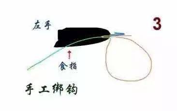 十年钓友干货——绑钩百科图解