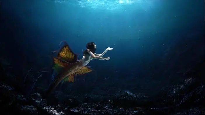 大地海洋：靠政策红利输血 供应商问题或成IP