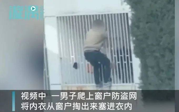 学院内衣被偷_大学宿舍女生内衣被偷(3)