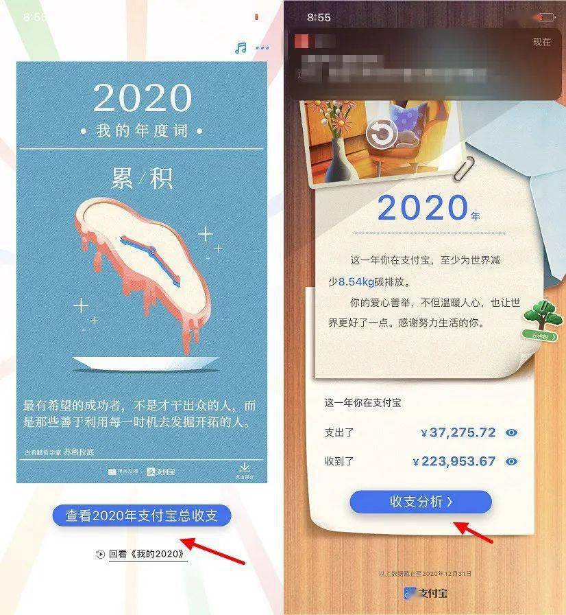 支付宝2020年度账单来了你查了吗网友留下了贫穷的眼泪