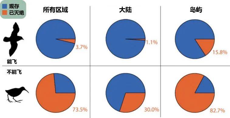 岛屿|要不是有人类，很多不会飞的鸟还活得好好的