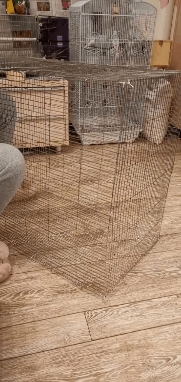 如何自己制作鹦鹉笼子