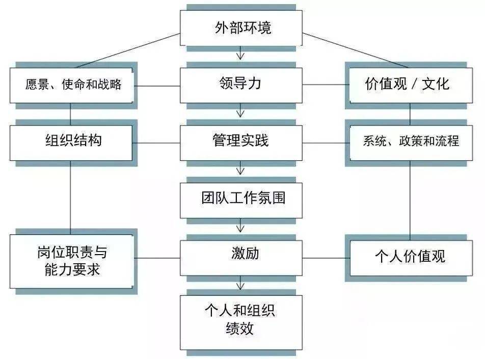 而下半部分,强调的是内部组织结构,制度流程,团队协作风格,岗位能力