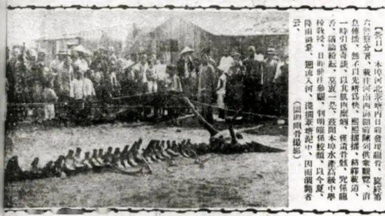 真龙现身揭秘1934年营口坠龙事件