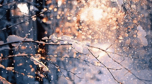 小寒| 小寒虽寒,望春则暖