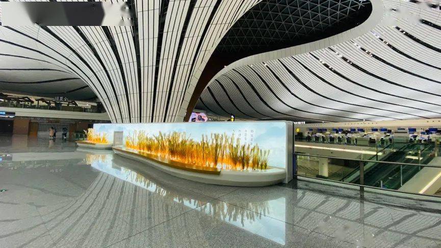顺义区文化企业走进大兴国际机场近20处景观设计带来高品质旅行体验