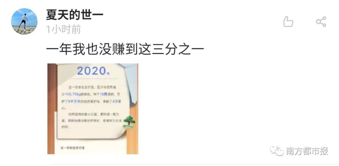 “暴击”!支付宝年度账单出炉,网友:我的钱像被大风刮走的