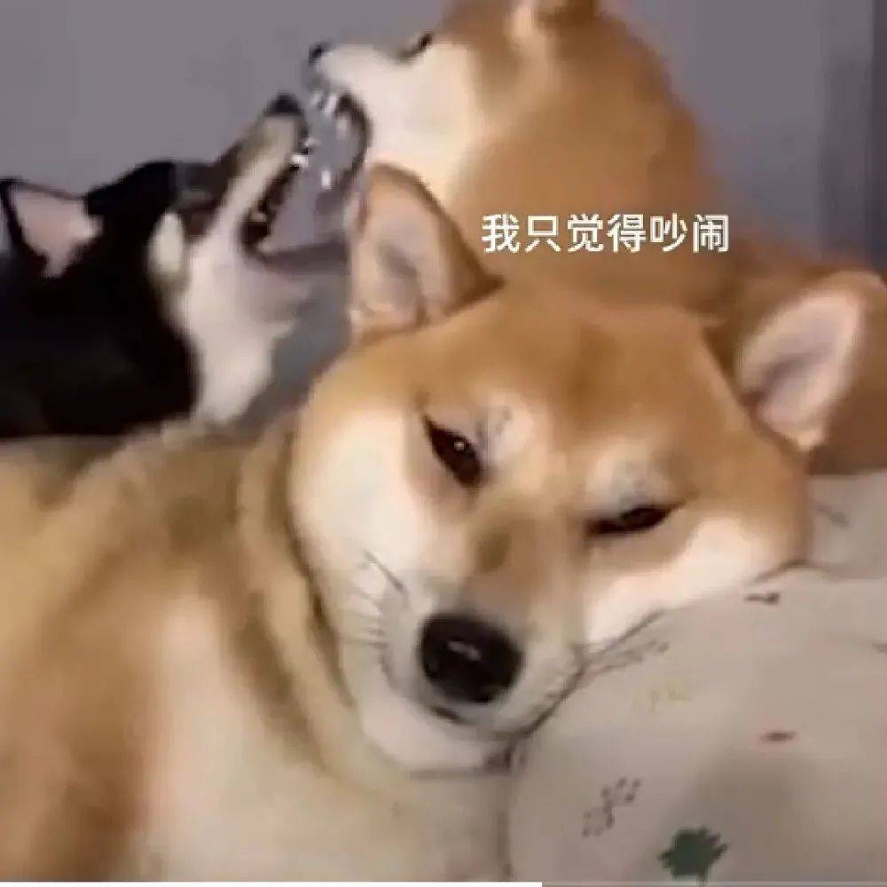 今晚翻谁的牌子