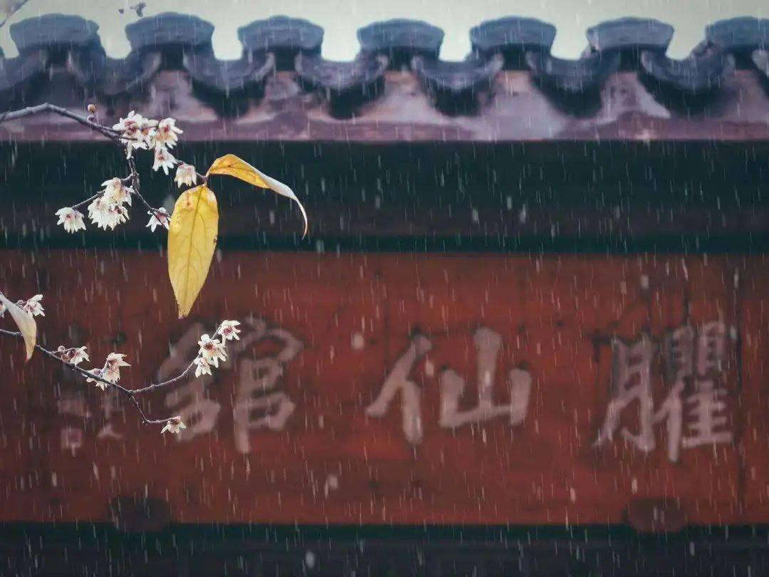 天越冷,拥抱越暖,今日小寒,万物正萌生