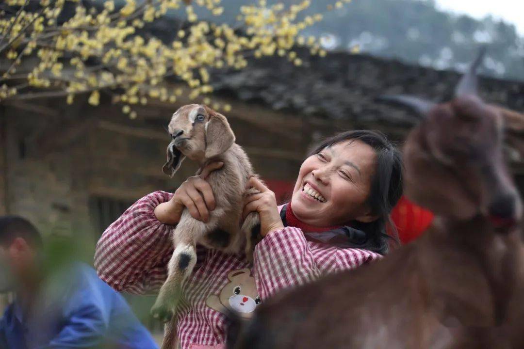 长寿葛兰人口_重庆长寿葛兰中学照片(2)