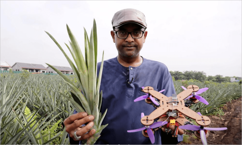 无人机|比合成纤维更好？马来西亚研究员用菠萝叶子造无人机部件