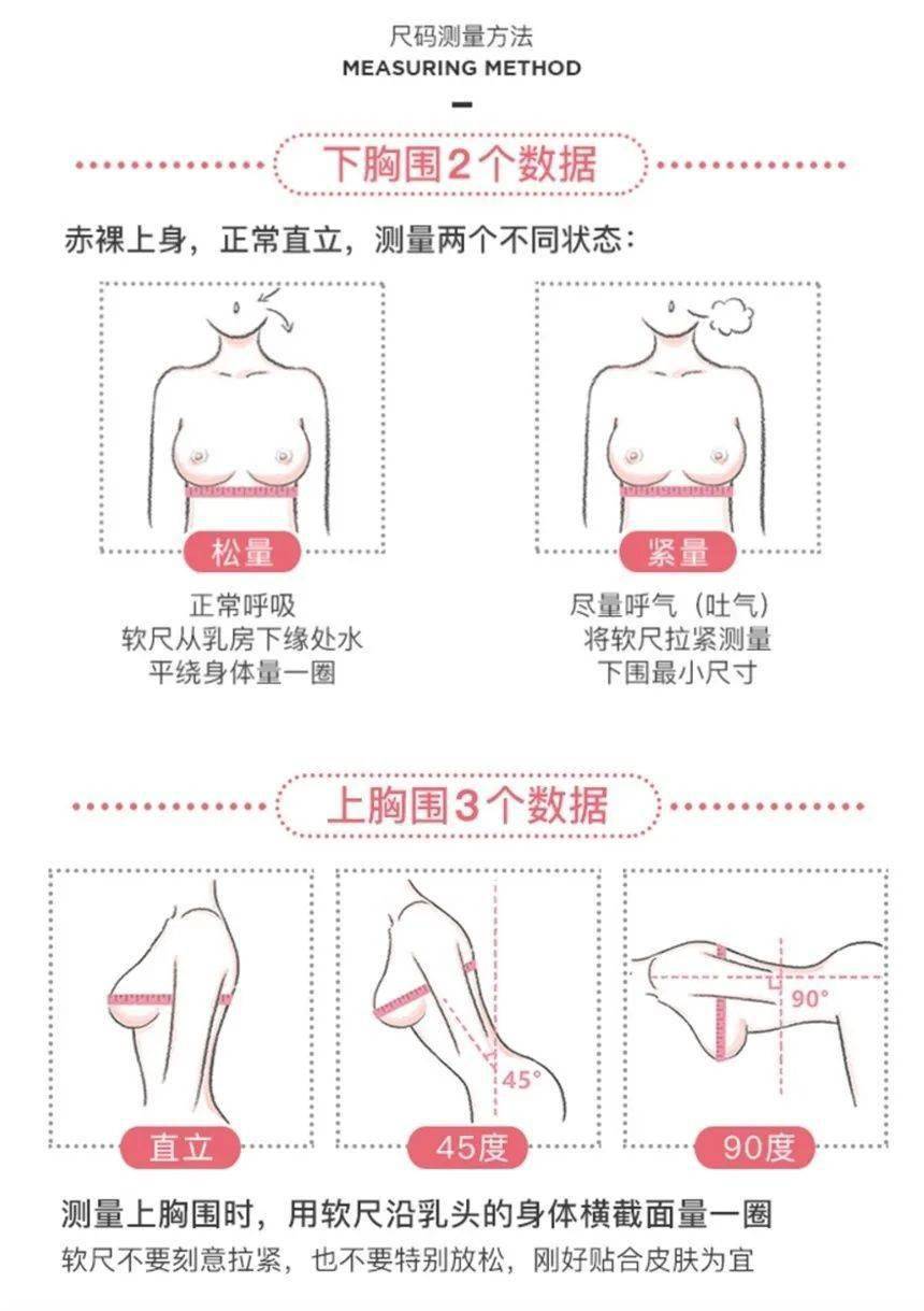 怎样确定内衣尺寸_怎样确定罩杯大小图解(2)