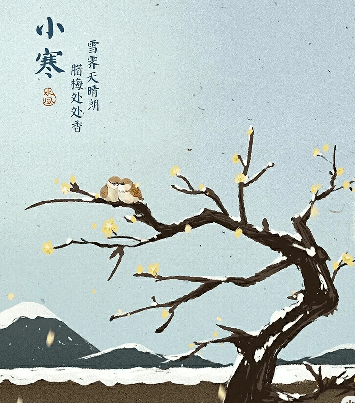 节气丨小寒