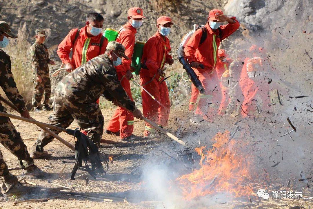 当好高黎贡山绿色守护者筑牢生态安全保护屏障