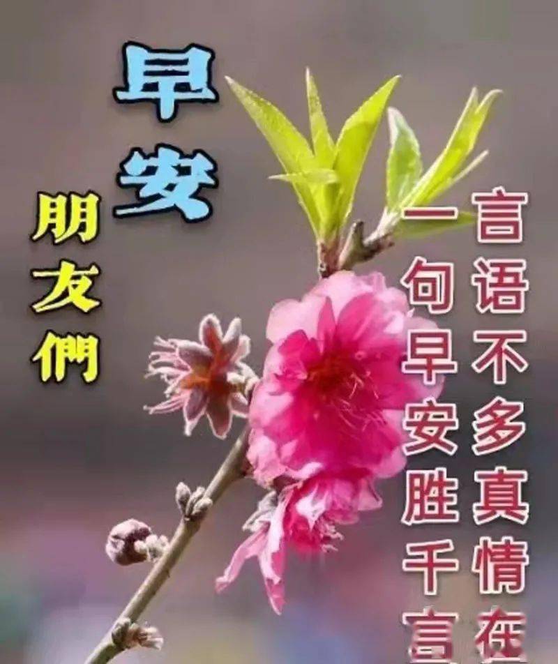 最美聊天图片