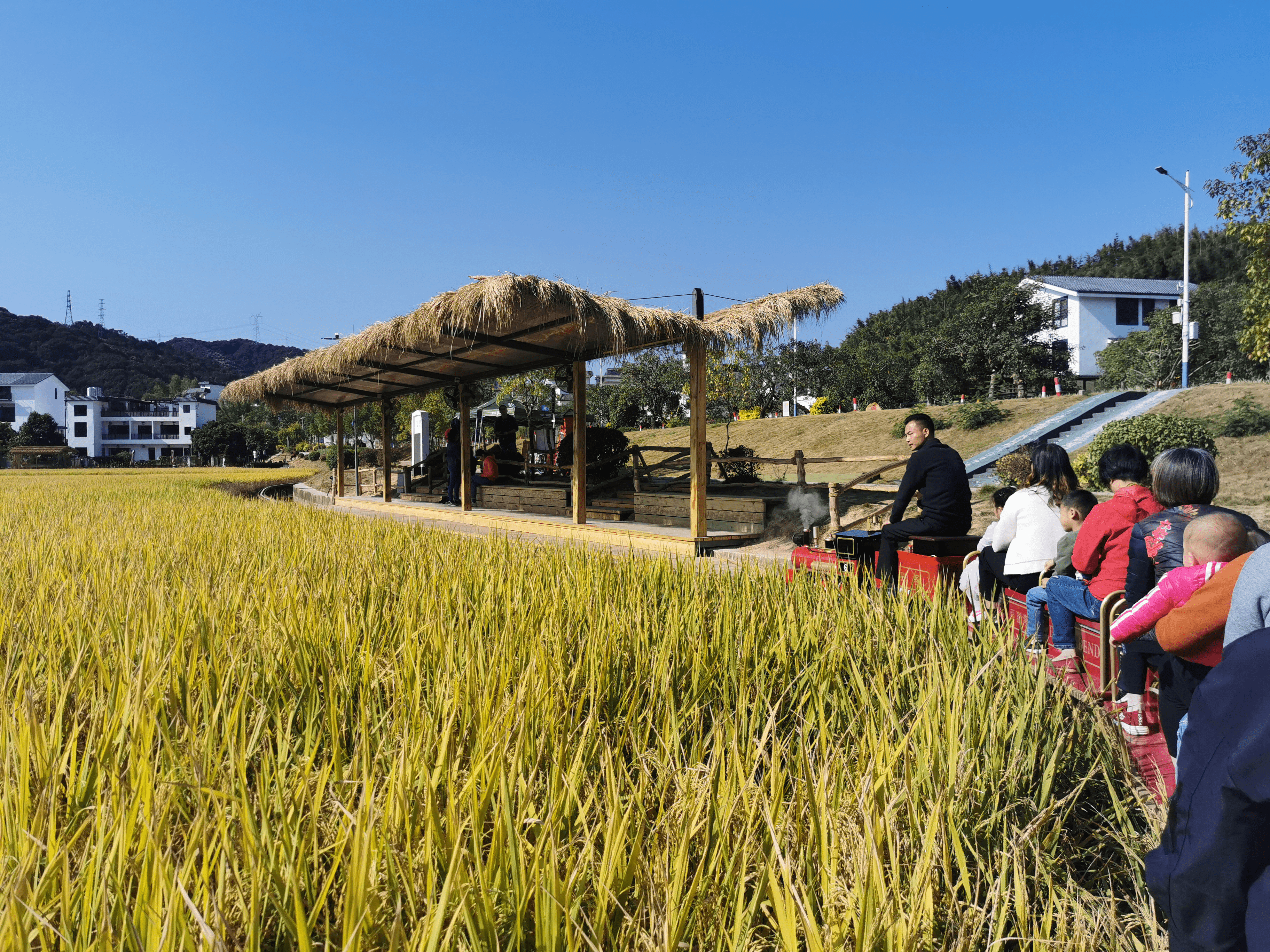 第二批广东省乡村旅游精品线路名单公布,广州3条线路入选