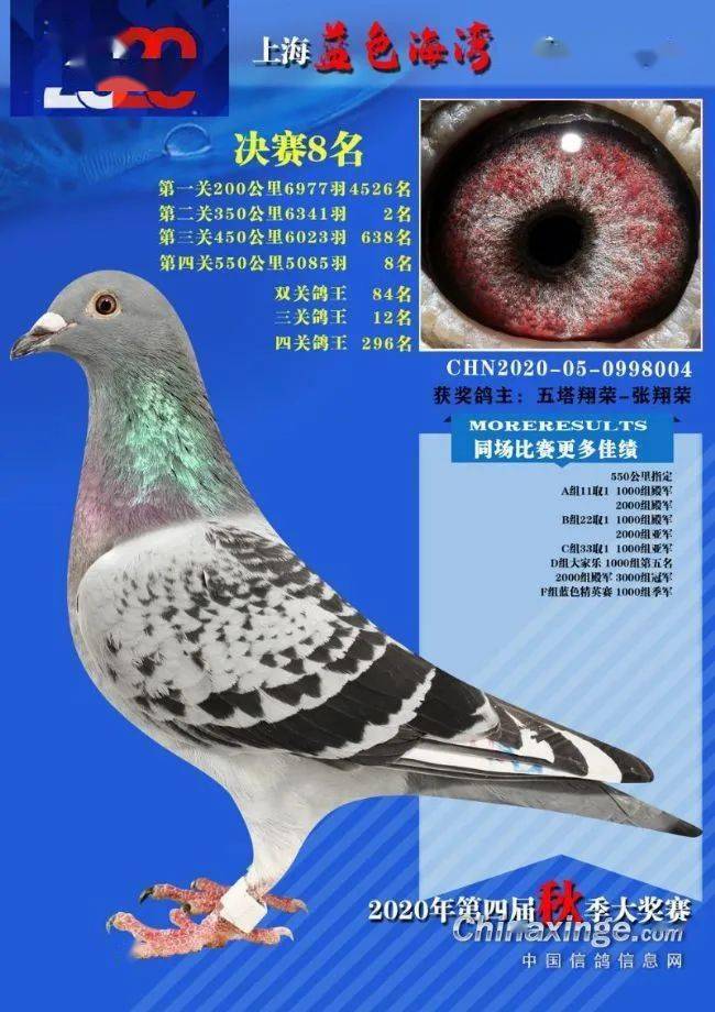 bf017bfd5ccc43d8bff84d49c83fd9d7.jpeg