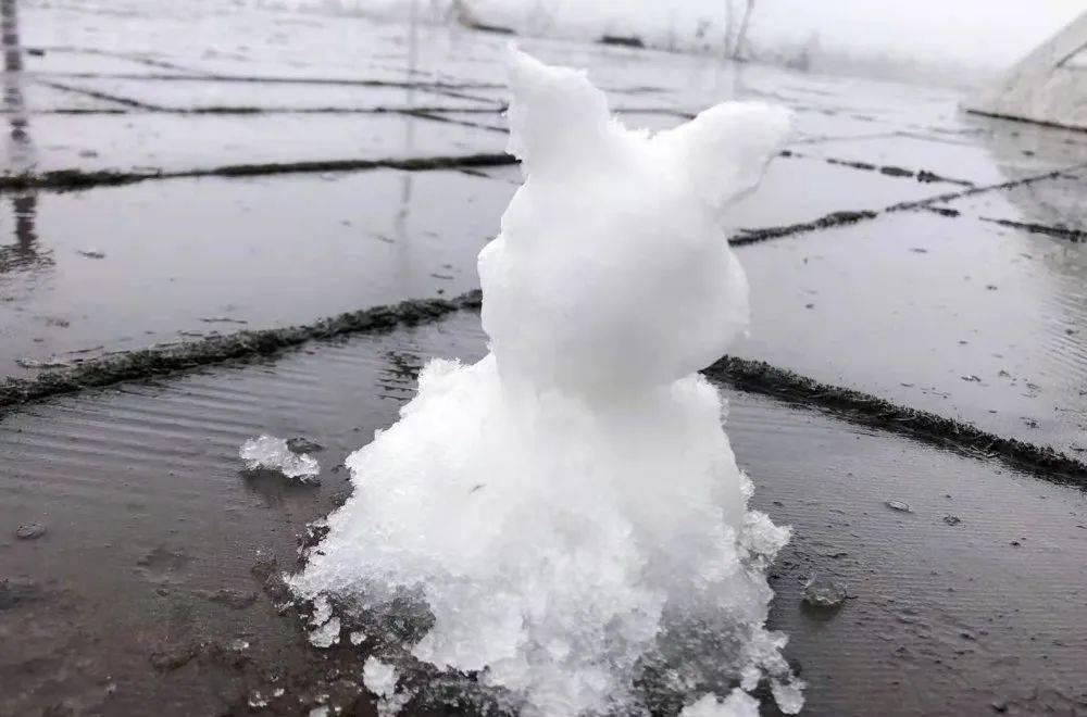 这次的雪是可以堆起来的哦!