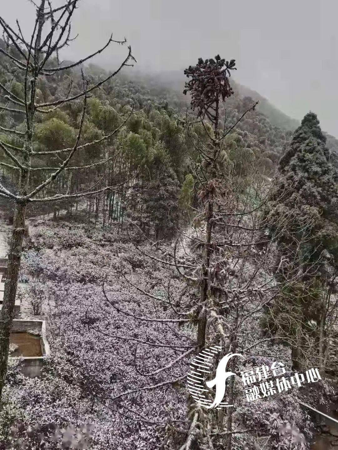 福建多地下雪了!新一轮寒潮"暴击,气温降至…_宁德