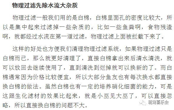丢下你简谱_我怕被你丢下图片(3)