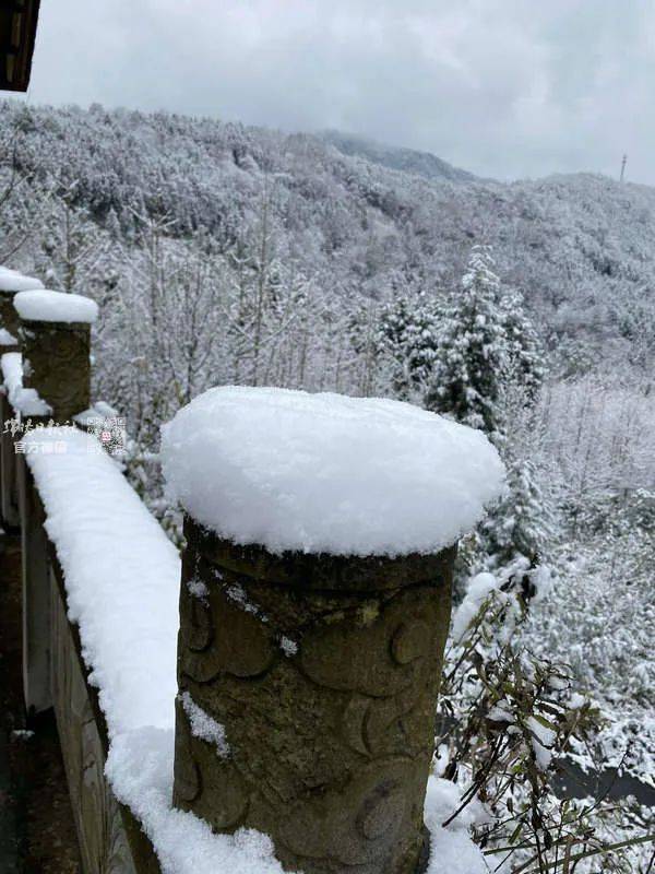 报全绵阳都在下雪哇好大