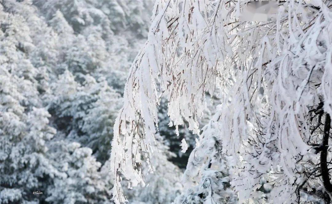 2021初雪来啦!展示!