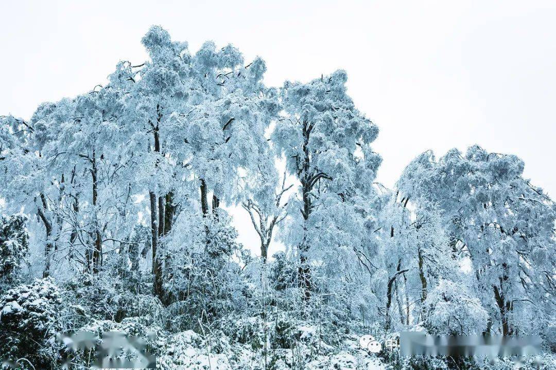 2021,送上一波贵州雪景大赏