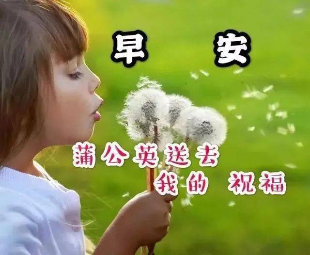 大家早上好:天冷注意保暖,幸福快乐伴随你!