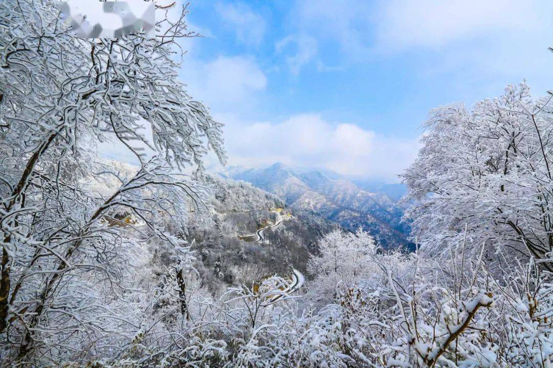 2021年第一场雪,汉中美成了童话