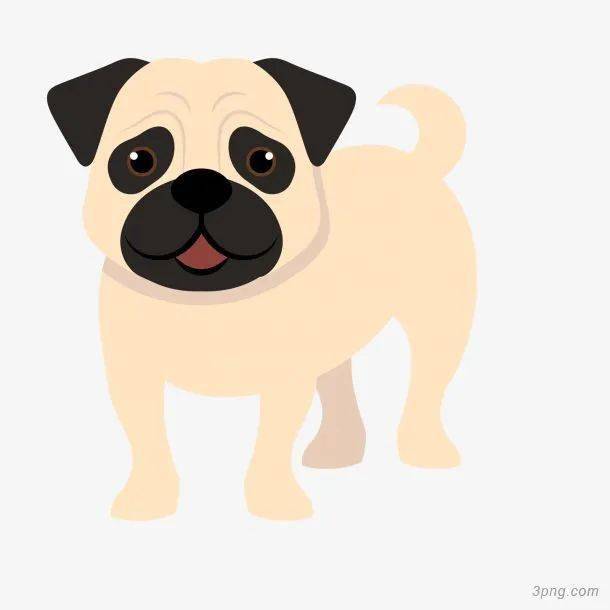 兔子可以吃肉骨头吗 d9813d298a4b43d88a51936e5335aca0.jpeg