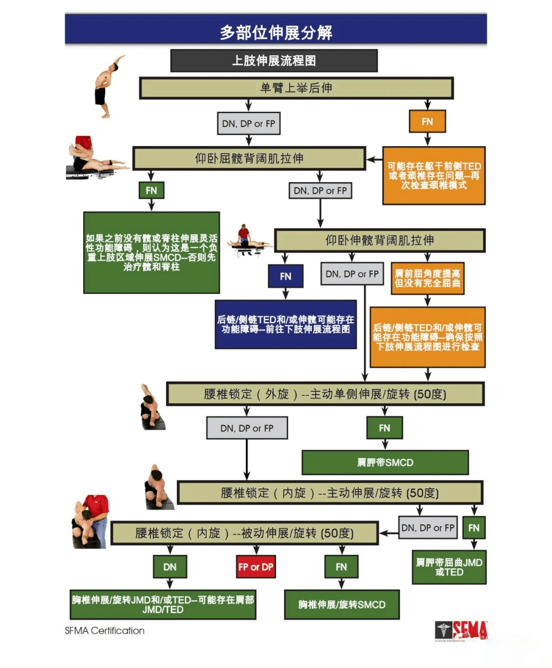 PT应知晓的知识：选择性功能动作筛查(SFMA)_治疗师