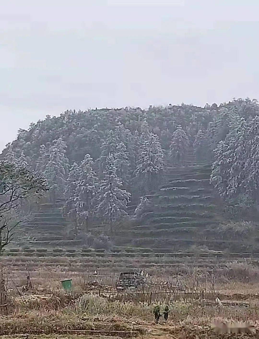枫朗人口_人口普查图片(2)
