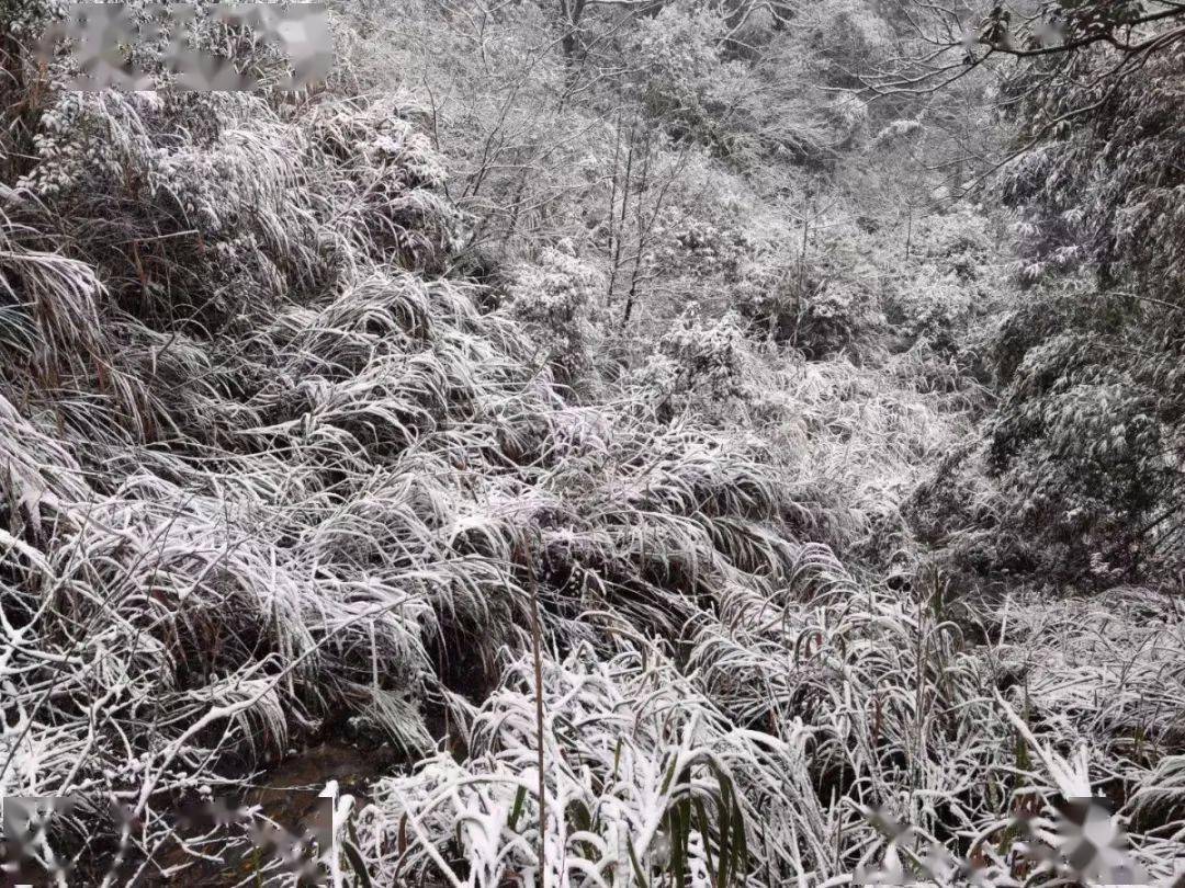 麻姑山的雪景你见过吗