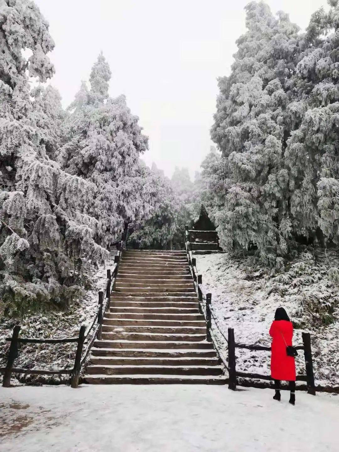 冬日摩围山披上白雪盛装_彭水