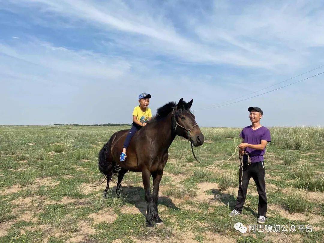 鸣谢 旭仁其木格,斯琴呼,全国栋,全玉香,敖日格勒,乌尼尔其其格,其