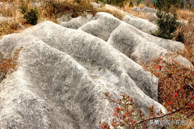 南郑区阳春镇人口多少_阳春双滘镇高速蓝图