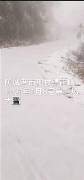 防城港南山有大雪？众网友赶去……连雾凇都没见到