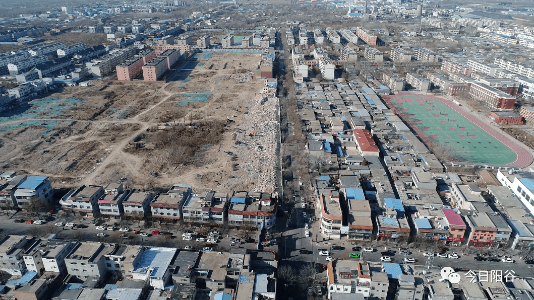 阳谷县多少人口_阳谷县小树林打野图片